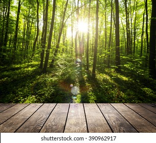 wood floor on the backgrounds spring forest 