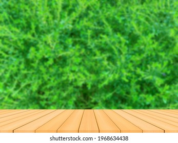 Wood Flor Blur Green Grass Can Be Use Background