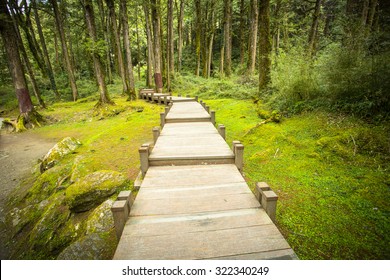 Wood Foot Path In The Nature ,Taiwan.