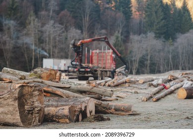 Wood Frenzy, A Lumber Shortage Is Likely To Result And Lumber Prices Surge, Building Homes And Homebuilding Industry And Lumber Demand Has Resulted In Wood Shortage And Higher Lumber Prices