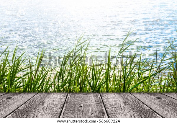 wood in front of grass at lakeside, sunlight on\
water surface in summertime, empty background with copy space on\
grey wooden gangplank, reed in the wind, idyllic   scene with\
advertising space     