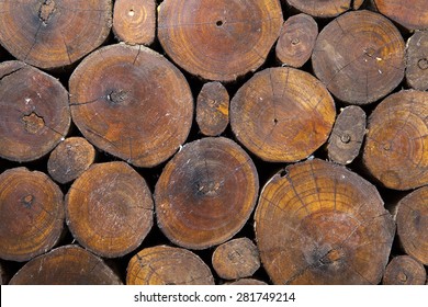 Wood Grain Background