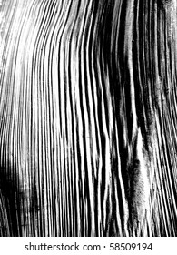 Wood Grain Background Black And White