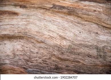 Wood Grain Close Up Wallpaper