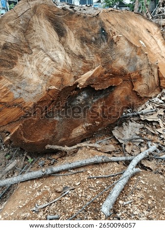 A wood grain pattern refers to the unique, natural texture and figure visible on cut wood surface