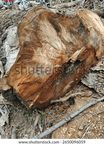 A wood grain pattern refers to the unique, natural texture and figure visible on cut wood surface