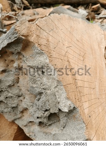A wood grain pattern refers to the unique, natural texture and figure visible on cut wood surface