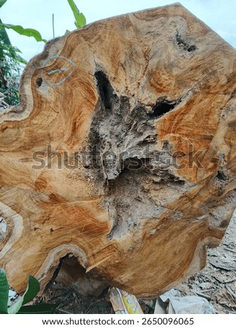 A wood grain pattern refers to the unique, natural texture and figure visible on cut wood surface