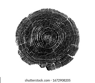 Wood Growth Rings Stamp On A White Background. Black And White Felled Tree Trunk With Detailed Texture.