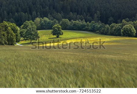 Similar – Image, Stock Photo allgäu. Environment Nature