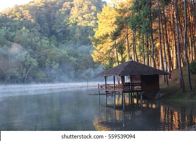 Wood House Beside The Lake In Pine Forest.