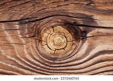 Wood knot background. Grunge wooden texture. Dry desk cracks pattern. Cut tree slice cross section. Uneven natural material board. Growth ring pattern. Tree knot closeup.