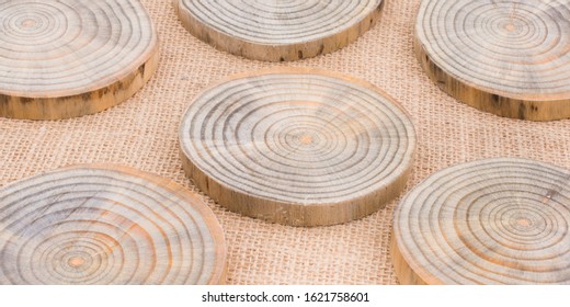 Wood Log cut in round thin pieces on canvas