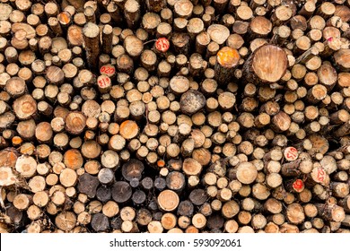 Wood log pile.