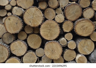 Wood Log Pile Background. Pile Of Spruce Wood.