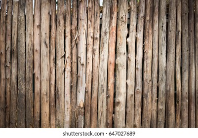 Wood Log Wall Outdoor Camp For Background