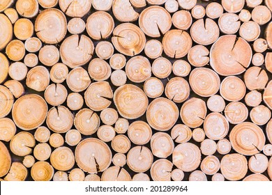 wood logs background 