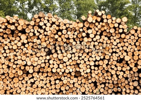 Wood logs outdoors background stack in industrial plywood factory full frame. Log trunks pile sawn trees, cut trees along prepared for removal. Logging timber wood industry concept. Copy ad text space
