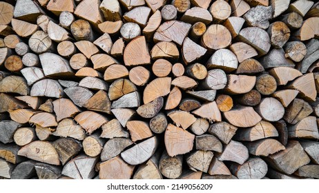 Wood Logs In A Pile. Wood Grain.