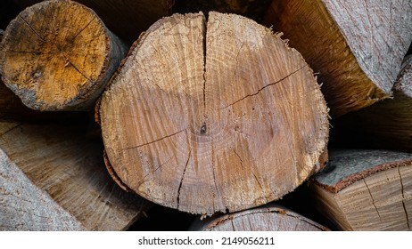 Wood Logs In A Pile. Wood Grain.