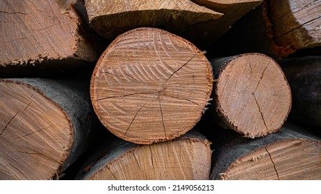 Wood Logs In A Pile. Wood Grain.