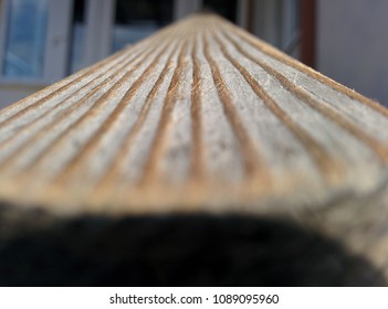 wood in macro