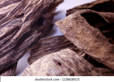 agarwood sale