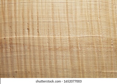 Wood Maple Sycamore Background Texture