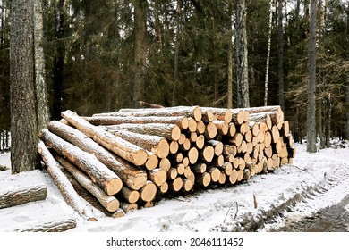 A wood material logging. Round timber stock. Lumber-camp of pine. Mass deforestation. Freshly cut tree logs piled up. Harvesting of wood. Sale of natural resources on the exchange. Ecological problem. - Shutterstock ID 2046111452