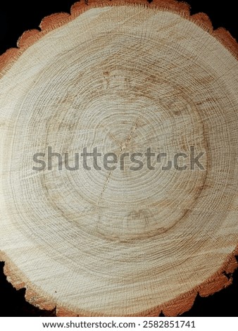 wood material, ring, cortex, for winter, cut off, crust, ring set, background, dround, natural, oldtree, tree, wood, arbutus, log, stump, wooden structure, felled tree