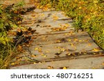 wood path