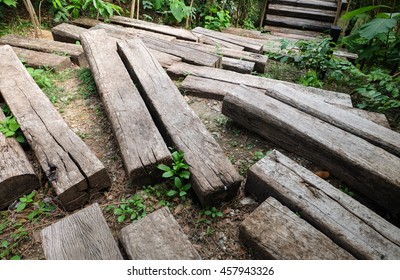 wood path 