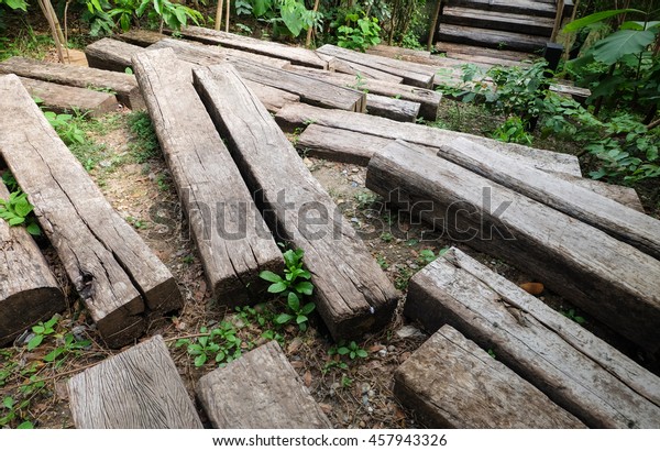 wood path 