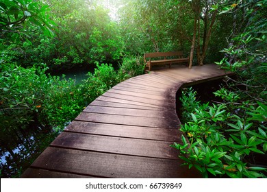 Wood Path Over River And Through Tropical Forest