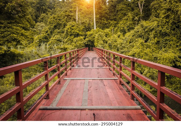 Wood path over river and through tropical forest \
in the middle of the\
forest.