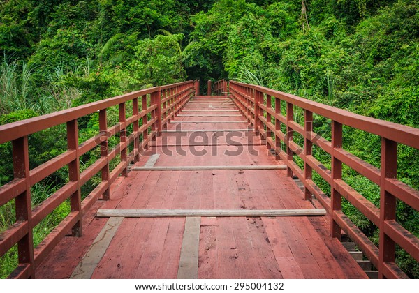 Wood path over river and through tropical forest \
in the middle of the\
forest.