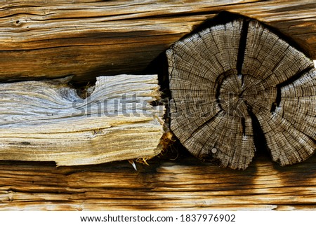 Wood pattern on wall of cabin, Great Smoky Mountains National Park, North Carolina. Stock fotó © 