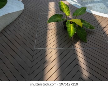 Wood Plastic Composite Floor With Small Plant In A Public Garden