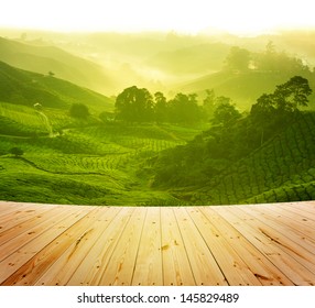 Wood platform beside tea plantation in  morning view, cameron highland malaysia - Powered by Shutterstock