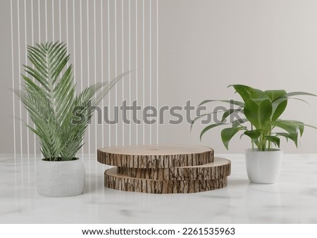 Wood podium, with clean background and plant, MInimal podium, plant, interior, home, room, wall, pot, house, design, flower, indoor, plants, window, table, wooden, garden, living, tree, nature, decor