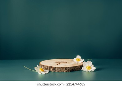 Wood Podium Saw Cut Of Tree Decorated Woth White Flowers On Dark Teal Background. Concept Scene Stage Showcase, Product. Trendy Color 2023