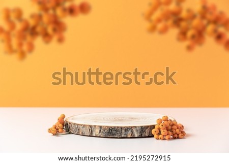 Wood podium saw cut of tree on orange background with  autumn rowan berries. Concept scene stage showcase, product, promotion sale, presentation, beauty cosmetic. Wooden stand studio empty