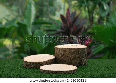 Wood podium table top floor in outdoors tropical garden forest blurred green leaf plant nature background.Natural product placement pedestal stand display,jungle paradise concept.