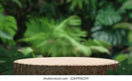 Wood podium table top outdoors blur green monstera tropical forest plant nature background.Beauty cosmetic healthy natural product placement pedestal display,spring or summer jungle paradise.