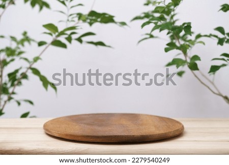 Wood podium tabletop floor with tree branch green leaf on white background.Beauty cosmetic and healthy natural product placement pedestal platform showcase stand display,spring or summer concept.