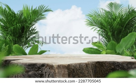 Wood podium tabletop floor with tropical forest plant blur cloud blue sky background.Organic cosmetic healthy product present natural placement pedestal display,spring and summer jungle concept.