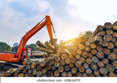 Wood Processing Factory