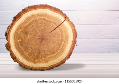 Wood round slice on desk