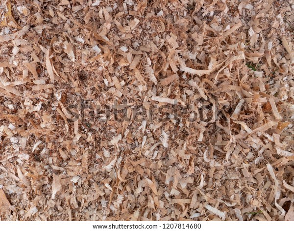 Wood Sawdust Background Closeup Sawdust Floor Stock Photo Edit