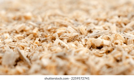 Wood sawdust, background, texture, top view. Pile of sawdust, background. Heap of wood shavings, background, texture, top view.